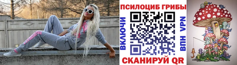блэк спрут вход  Ивангород  Псилоцибиновые грибы мухоморы  где купить наркоту 